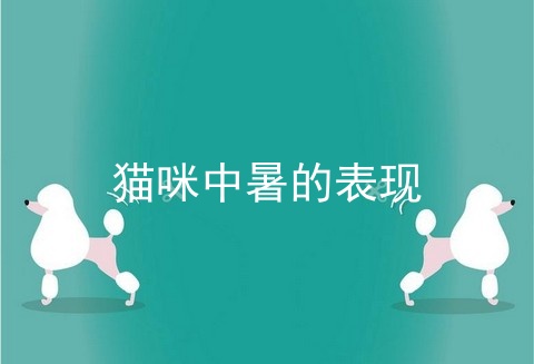 猫咪中暑的表现
