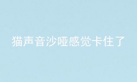 猫声音沙哑感觉卡住了