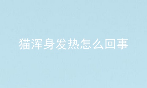 猫浑身发热怎么回事