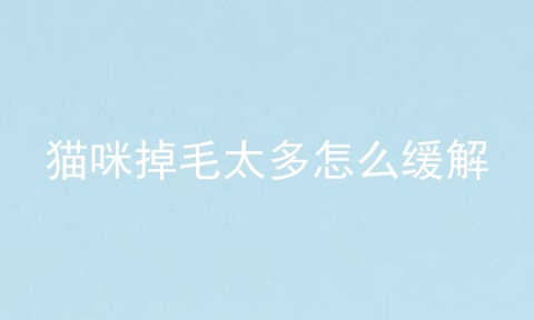 猫咪掉毛太多怎么缓解
