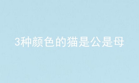 3种颜色的猫是公是母