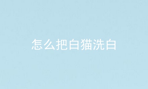 怎么把白猫洗白
