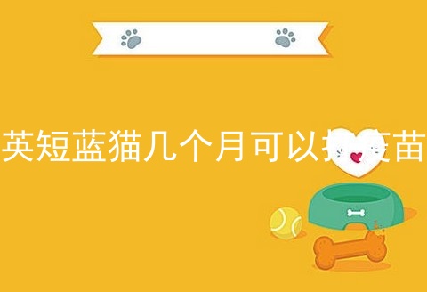 <a href=/cat/13.html target=_blank class=infotextkey>英短</a>蓝猫几个月可以打疫苗