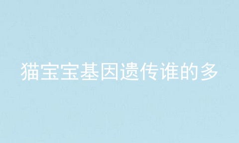 猫宝宝基因遗传谁的多