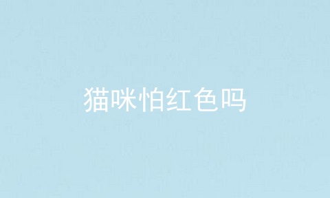 猫咪怕红色吗
