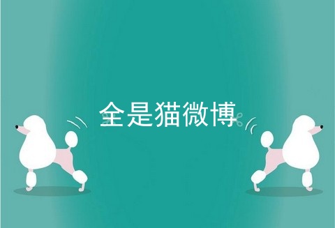 全是猫微博