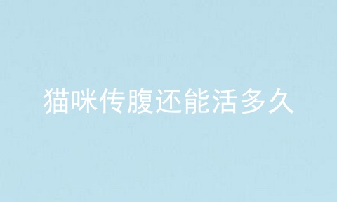 猫咪传腹还能活多久