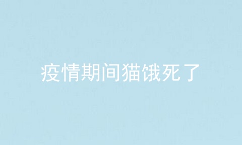 疫情期间猫饿死了