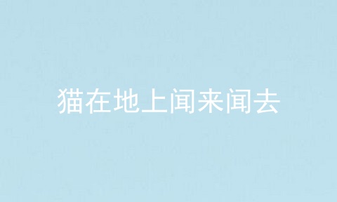 猫在地上闻来闻去