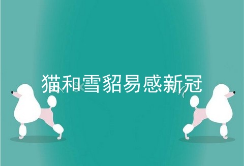 猫和雪貂易感新冠