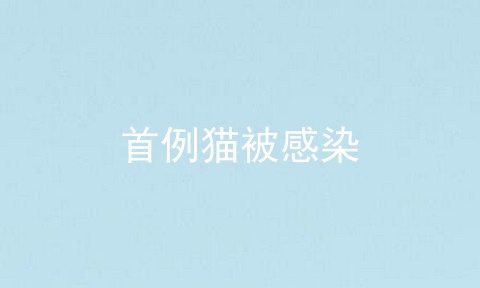 首例猫被感染