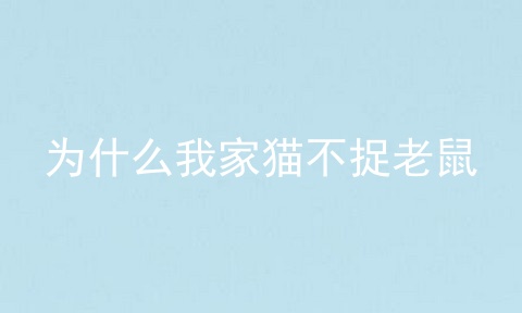 为什么我家猫不捉老鼠