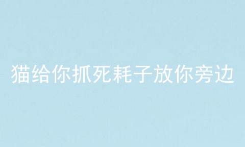 猫给你抓死耗子放你旁边
