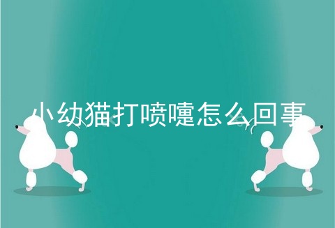 小幼猫打喷嚏怎么回事