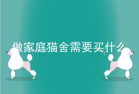 做家庭猫舍需要买什么