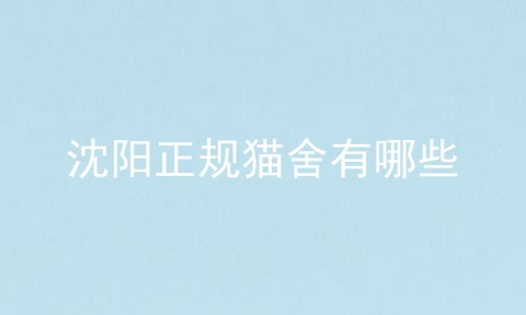 沈阳正规猫舍有哪些