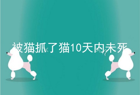被猫抓了猫10天内未死
