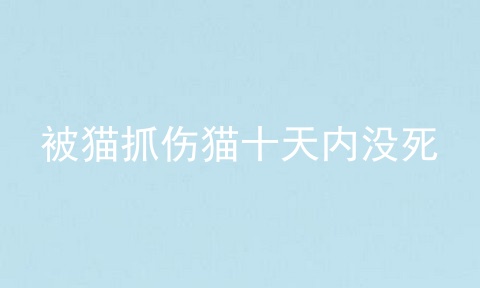 被猫抓伤猫十天内没死