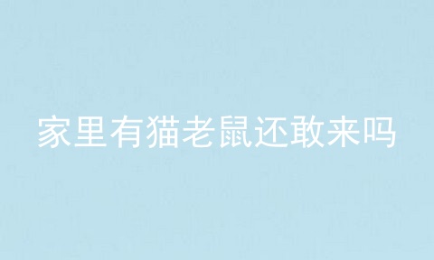 家里有猫老鼠还敢来吗
