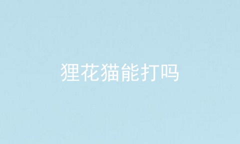狸花猫能打吗