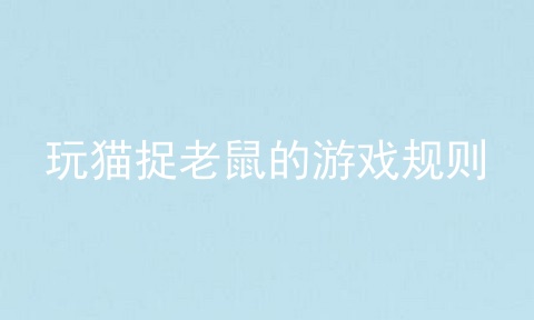 玩猫捉老鼠的游戏规则