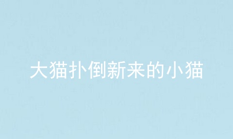 大猫扑倒新来的小猫