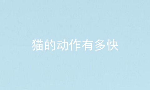 猫的动作有多快