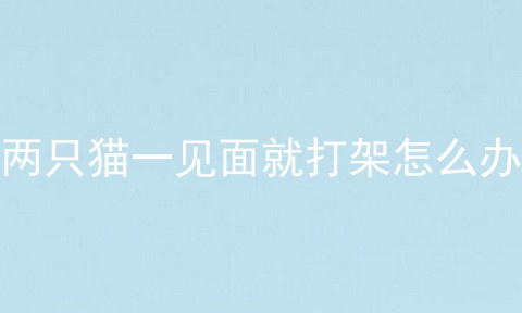 两只猫一见面就打架怎么办