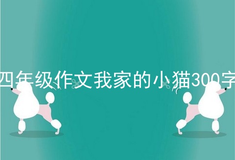 四年级作文我家的小猫300字