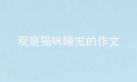 观察猫咪睡觉的作文