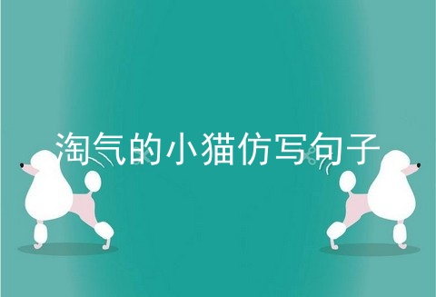 淘气的小猫仿写句子