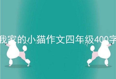 我家的小猫作文四年级400字