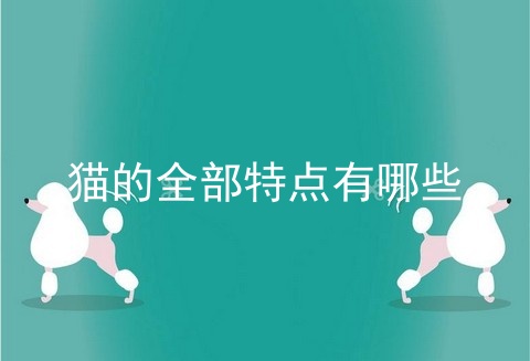 猫的全部特点有哪些