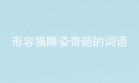 形容猫睡姿奇葩的词语