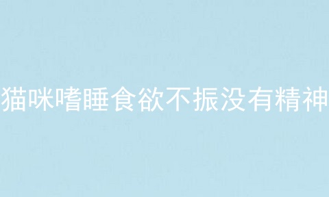 猫咪嗜睡食欲不振没有精神