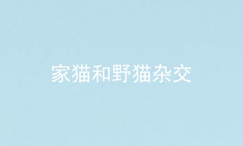 家猫和野猫杂交