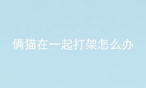 俩猫在一起打架怎么办