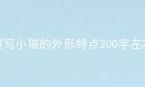描写小猫的外形特点200字左右