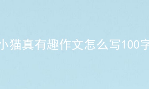 小猫真有趣作文怎么写100字