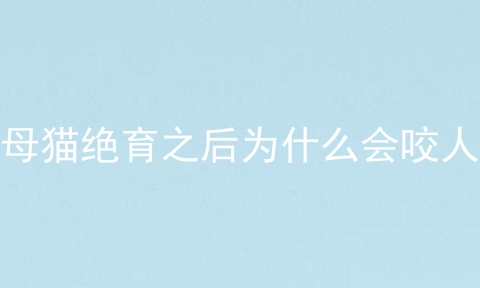 母猫绝育之后为什么会咬人