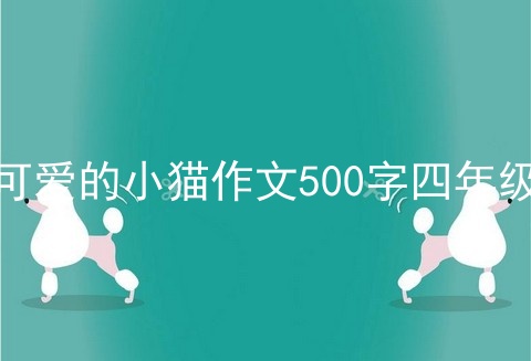 可爱的小猫作文500字四年级