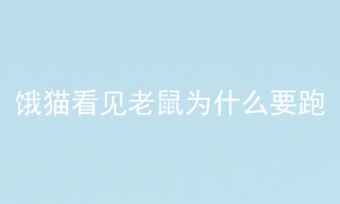 饿猫看见老鼠为什么要跑
