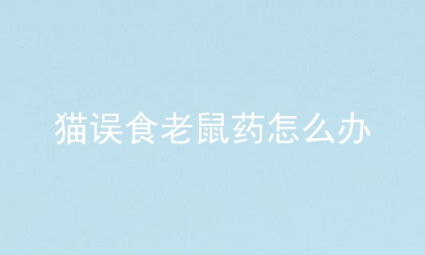 猫误食老鼠药怎么办