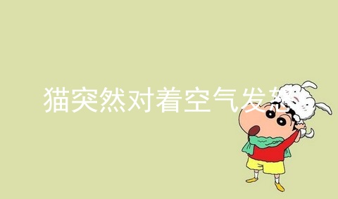 猫突然对着空气发怒