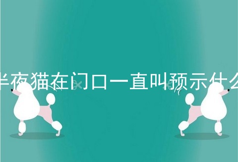 半夜猫在门口一直叫预示什么