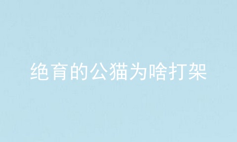 绝育的公猫为啥打架