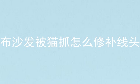 布沙发被猫抓怎么修补线头