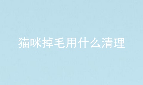 猫咪掉毛用什么清理