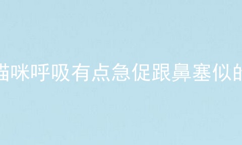 猫咪呼吸有点急促跟鼻塞似的