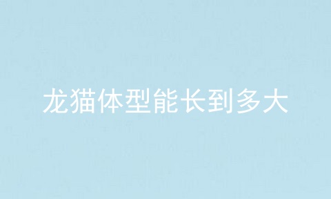 龙猫体型能长到多大